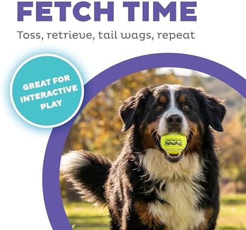 Outward Hound FlyFetch Launch-A-Ball Dog Ball Launcher Toy, 15.5", Medium