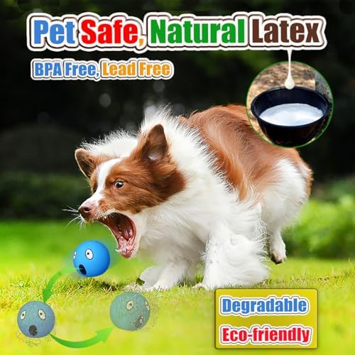 HOLYSTEED Latex Squeaky Dog Balls for Medium Breeds, 2.5" Round Squeak Toys