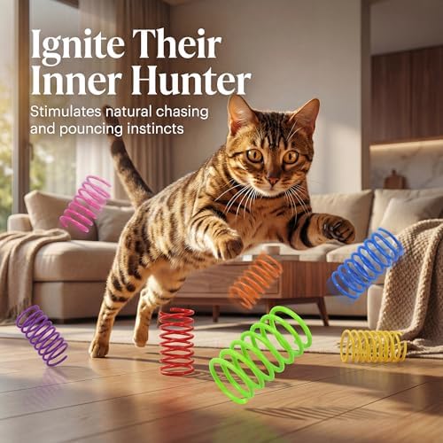 Fashion's Talk 12 Colors Cat Spring Toys Colorful Plastic Springs for Indoor Cats Kittens Interactive Swat, Bite & Hunt Play