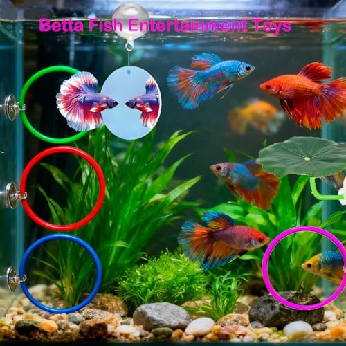 11pcs Betta Fish Enrichment Toys Fish Hideout Betta Hoop Exercise Rings Floating Mirror Balls Tank Feeding Rings Training Ring Feeder Hammock Acrylic Tube Breeding Aquarium Decor Accessory