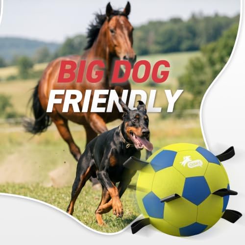 QDAN 25 Inch Herding Ball for Dog with Straps, Outdoor Dog Toys for Herding | Interactive Large Dog Herding Ball Chasing Training, Dog Ball for Border Collie, Australian Shepherd, Blue Heeler & Horses