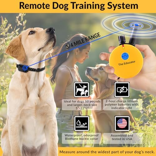 E-Collar Educator ET-400 Dog Training Collar with Remote, Yellow