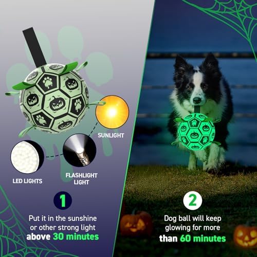 QDAN Glow in The Dark Halloween Dog Toys,Dog Balls with Straps
