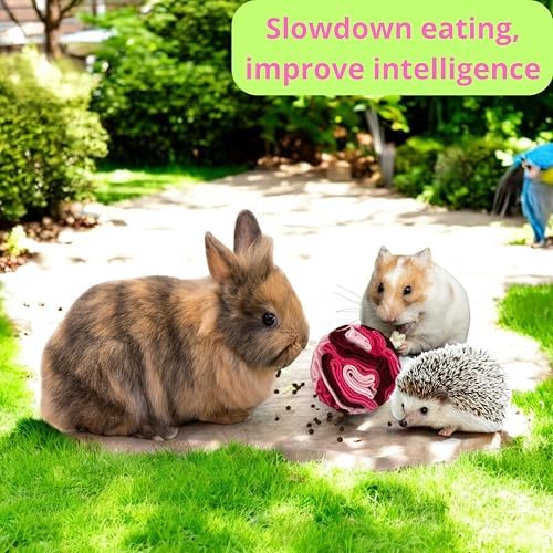 Rabbit Treat Ball Interactive Foraging Toys for Small Pet, Interactive Balls for Rabbits Guinea Pig Hedgehog Chinchilla Ferret Hamster Bunny, Rabbit Enrichment Toy, Rabbits Accessories (Romantic Pink)