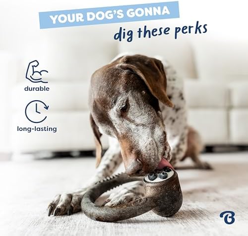 Benebone Ring Dog Chew Toy for Aggressive Chewers, Blueberry, Medium