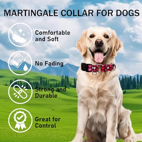 Valentines Martingale Dog Collar Pink Burgundy Heart Love, Large