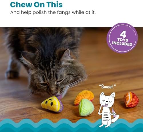 Catstages Dental Fruit Wedges Chew Cat Toys with Catnip, 5.3", 4-Pack