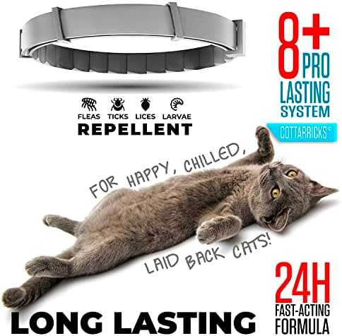 Flea and Tick Prevention for Cats - Collar - 2 Count - Adjustable