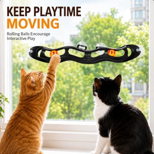 Suction Cup Window Cat Toy