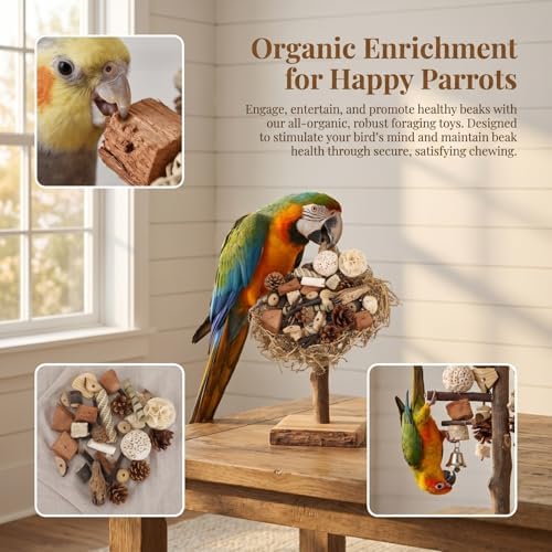 NOLITOY Natural Bird Toys for Conures: Parakeet Toys Parrot Foraging Wood Chewing Blocks & Hanging Bell Pendant Stick, Parrot Foraging Interactive Bundle for Macaw Small-Medium Birds