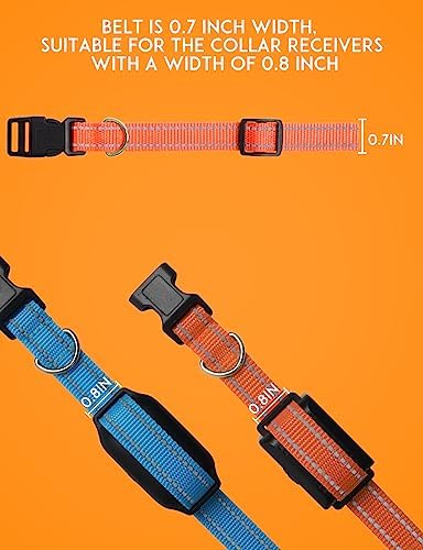 Dog Collar Replacement Strap, 3/4 x 27 Inch, Reflective Nylon with Metal D-Ring, Compatible with Multiple Training Shock Collars, 2 Pack