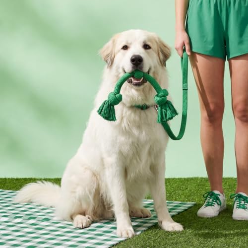 Playology Tug Rope Dog Toys for Large Breed Dogs - Jumbo, Watermelon Scent