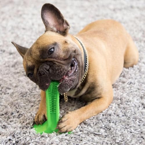 Chew Toy for Dog Toothbrush Stick Dog Toys for Aggressive Chewers Interactive Toys Treats Tough Toy to Keep Them Busy Chew for Small Dogs (Green, L)