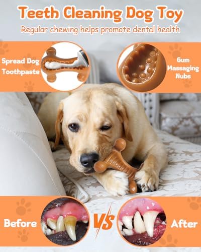 Dog Toys for Aggressive Chewers Large Medium Breed, Interactive Treat Dispensing Chew Toy, Indestructible Tough Nylon Teething Bones to Keep Dogs Busy