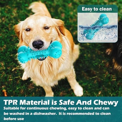 Natural Rubber Bone Dog Chew Toy, Tough Toy for Aggressive Chewers
