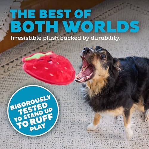 Outward Hound Tough Skinz Durable Chew Squeaky Dog Toy, Strawberry, 7.9"