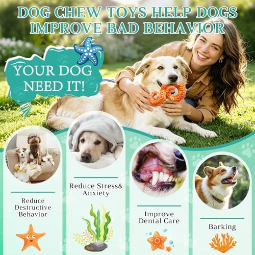 Fuufome 3 Pack Nylon Dog Chew Toys, Indestructible for Aggressive Medium & Large Dogs