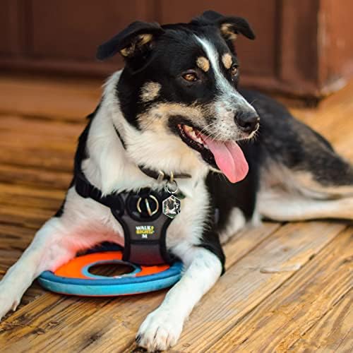 Dog Tags Personalized Pet ID Tags - QR Code Customize Dog Cat Tag - Pet Online Profile Display Pet Information