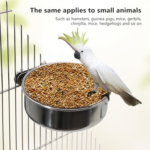 Stainless Steel Bird Feeding Dish Cups, 4 Pack, Medium
