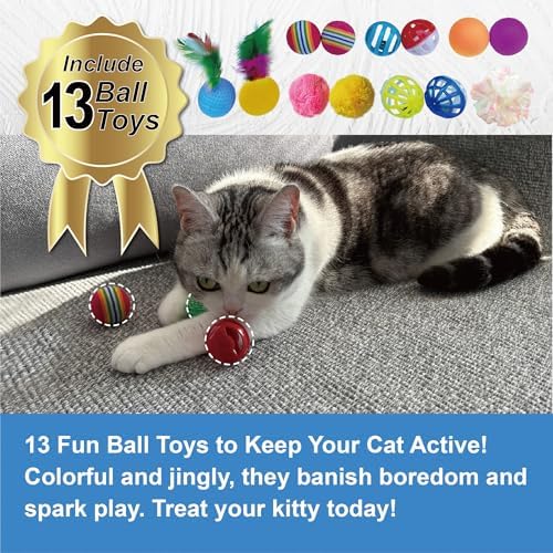 PetLike 25pcs Interactive Cat Toys Set Collapsible Cat Tunnel Interactive Feather Teaser Wand,Spring Toys & Balls for Indoor Cats (Black, 25x55cm)