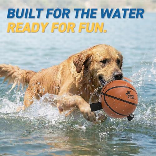QDAN Dog Basketball Toys, Dog Balls with Straps for Tug of War, 6 Inch | Dog Water Toy Pool Toys for Small Medium Dogs, <60 lbs Puppy Toys, Training Herding Balls for Outdoor, Puppy Birthday Gifts