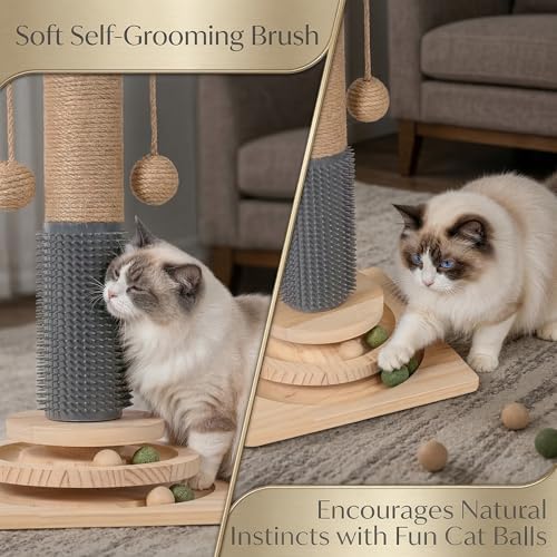 4-in-1 Solid Wood Cat Scratching Post with Self-Groomer, Medium Size