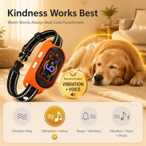 Voice Memo Anti Bark Collar, Smart Dog Bark Collar, Orange