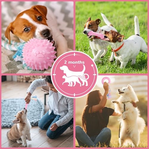 Puppy Chew Toys 6 Pack for Small Dogs, Teething Toys for Puppy Easy Clean Rubber Bone Star Stick Donut Slipper Spiky Ball Set for Small Breed Teething Relief (Dogbed not Included)