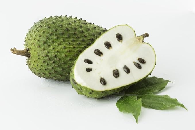 graviola leaves tea k-cups, graviola tea k-cups, graviola tea powder - GRAVIOLA SOURSOP TEA K-CUPS - soursop tea organic, soursop tea for better sleep, organic tea loose leaf tea - 1 Box 10 K-cups