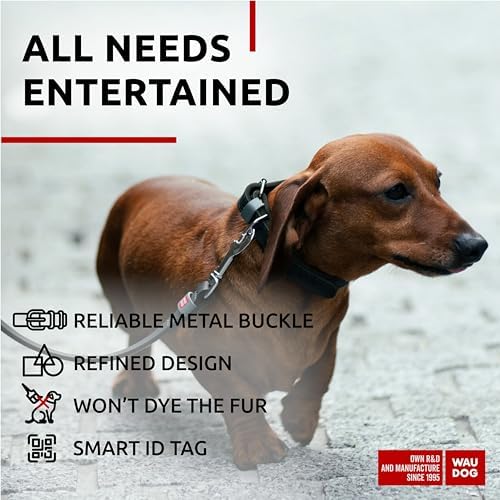 WAUDOG Long Lasting Leather Dog Collar for Large Dogs, Medium & Small Dogs - Adjustable Classic Puppy Collars for Large Breed Dogs - Boy & Girl Dog Collars with Durable Buckle, D-Ring & QR Dog Tag