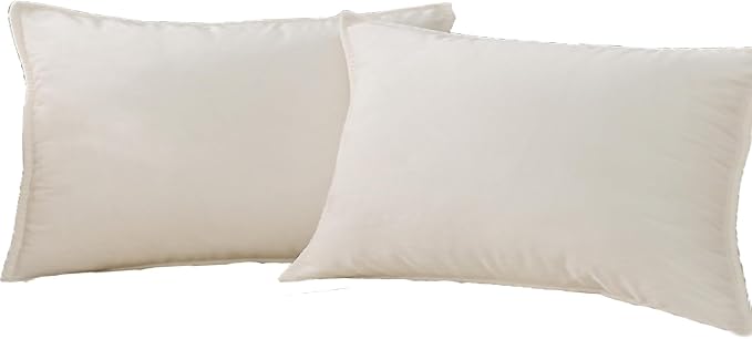 Velvet Cream white Throw Pillow Covers 12”x20”Pack of 2 Soft Decorative | Square Cushion Covers for Couch Sofa Bed Livingroom Car Home Decor,30x50Cm