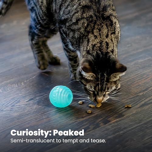 Catstages Ball Treat Stuffer Cat Toy – Interactive Treat Dispensing Ball for Cats, Mental Stimulation & Physical Exercise, Soft & Durable, Green (Pack of 2)