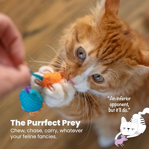 Catstages Catnip Chew Mice 2 Pack– Interactive Dental Cat Chew Toy that Helps Clean Teeth, Mouse, Multicolored