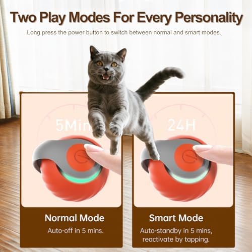 Interactive Cat Ball for Indoor Cats - Dual-Speed Automatic Rolling Ball Toy with 90Min Run Time, Plush + Feather Tails, Energetic Cat Chase Exercise, Blue/Orange, 1PC