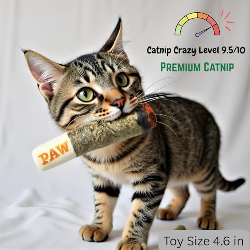Nestpark Cat Doobie Catnip Cat Toy - Crinkle Kitten Kicker with Extra Strong Catnip - Funny Interactive Cat Toy Indoor Cat Gifts