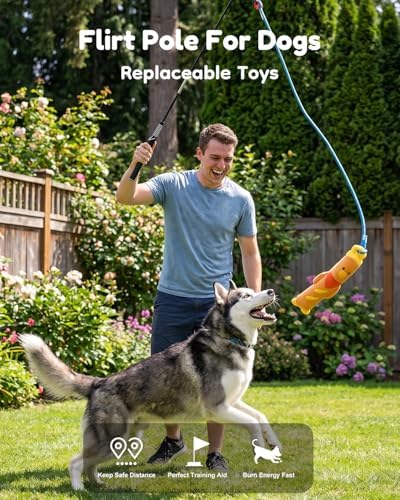 BurgeonNest Flirt Pole for Dogs with 3 Replacement Toys