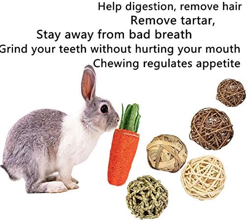 24PCS Hamster Chew Toys Set, Small Animal Teeth Grinding Molar Toys