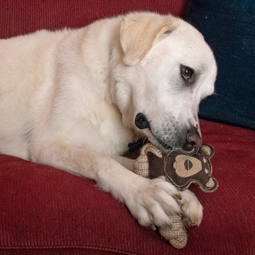 SPOT Dura-Fused Leather Animal Rings - Rope Dog Toy, Made with Real Leather and Jute Fabric, Durable Rope Ring is Great for Tugging and Chewing - 11in, Assorted Styles, 1 Piece