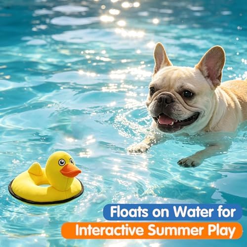 Floating Duck Dog Toy, Squeaky Water Pool Toy for Small Medium Dogs