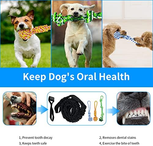 Spring Pole Dog Rope Toys, Tree Bungee Hanging Dogs Toy Interactive Tether Tug Indoor Outdoor Exercise Chewer Ropes Dog Toys, Pull Tug Solo Play Rope for Medium Large Dog
