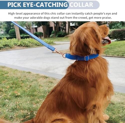 Soft Leather Martingale Dog Collar - Adjustable Rose Gold Limited Slip Collars [Easy to Clean], Stylish Durable Heavy Duty Nylon No Pull Training Collar for Small Medium Large Dogs XS Dark Blue