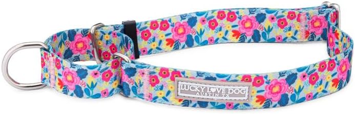Lucky Love Dog Martingale Collar for Small Dogs No Slip – Valentina, Small