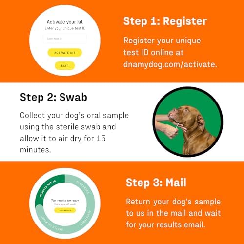 DNA My Dog – Premium Health & Breed Bundle | Breed ID Test (350+ Breeds, 99% Accuracy, Health Test, Age & Wolf DNA) & Allergy Test (120+ Allergens) | Noninvasive Cheek Swab, Fast Results & Custom Care