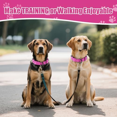 Martingale Dog Collar, Reflective No Pull with Buckle, Pink, M