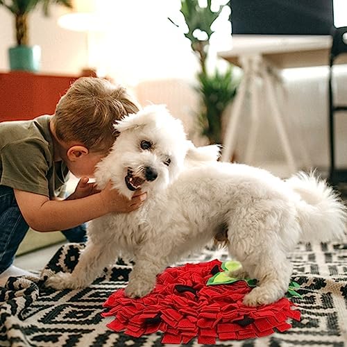 NINEFOX Snuffle Mat for Dogs, Pet Feeding Mats Puppy Sniffing Pad, Strawberry Shaped Snuffle Mat, Cat Doggies Interactive Toys for Multiple Breeds Training and Stress Release (Strawberry)