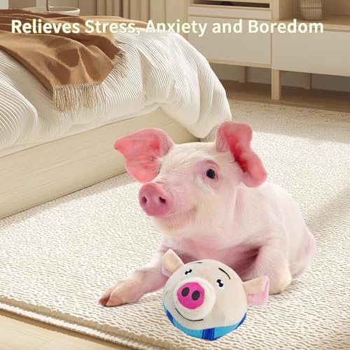 Interactive Toy for Mini Pig - Pigs Toy, Bouncing Toy Ball with Music and Recording for Mini Pigs, Pet Pig Supplies, Moving Ball Chew Toys for Pig to Keep Them Busy for Boredom