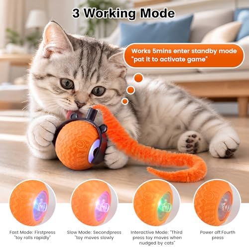 ZUAMEGUCat Toys for Indoor Cats - Interactive Rolling Ball