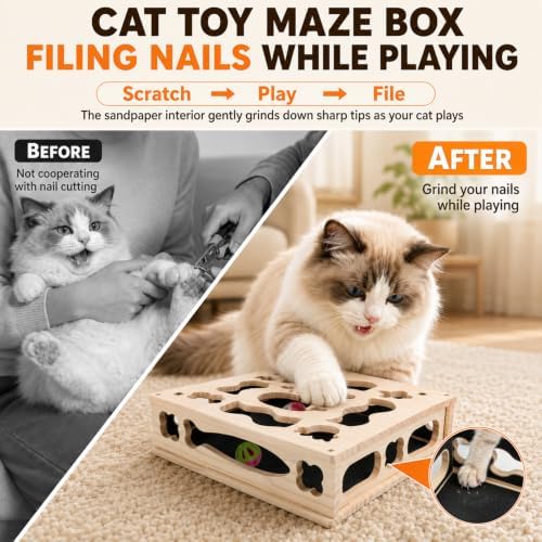 All-in-One Cat Scratch Puzzle Toy with Treat Storage Box