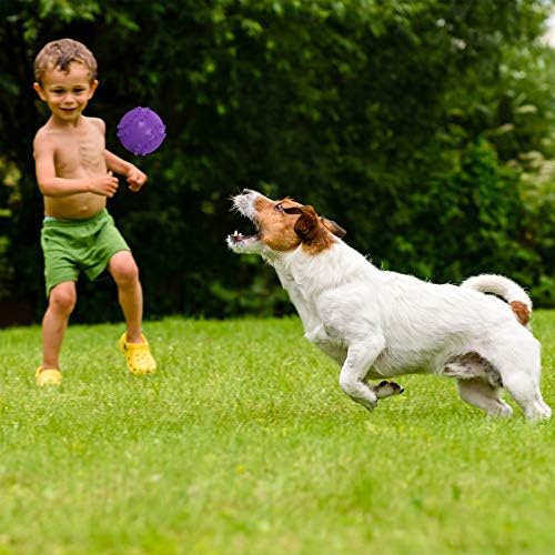 Frienda Squeaky Dog Toy Ball Reliable Rubber Squeaker Fun Interactive Puppy Chew Toys Beach Outdoor Dog Ball for Large and Small Pet(Tennis Shape)