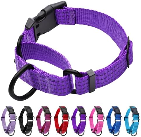 Martingale Dog Collar, Reflective No Pull with Buckle, Purple, S